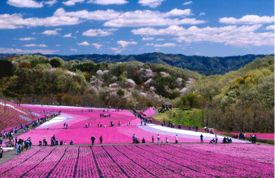 市貝町の風景の写真