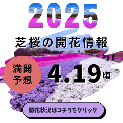 開花状況