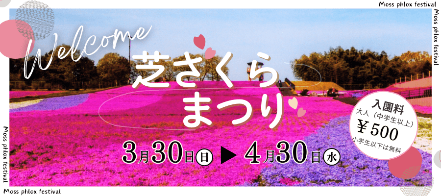 芝ざくらまつり