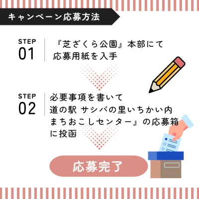 応募フロー画像