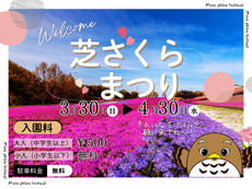 芝ざくらサムネイル