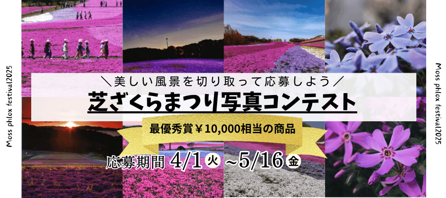 芝ざくらまつりフォトコンテストを開催します。