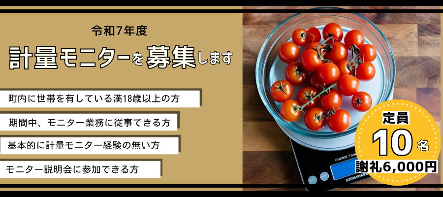 計量モニターのMV
