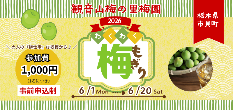 梅もぎりバナー