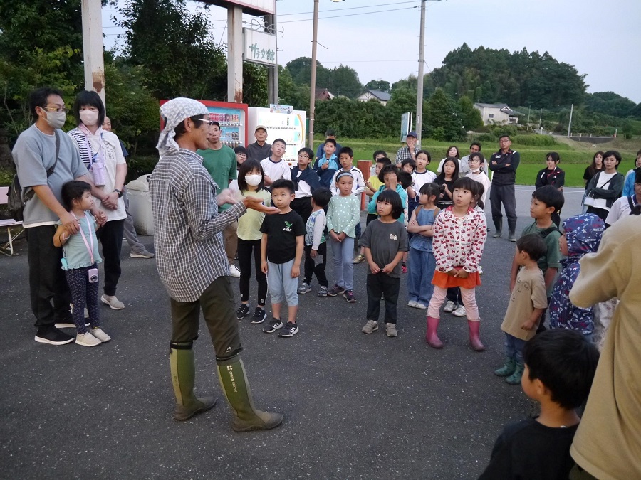 蛍の観察会