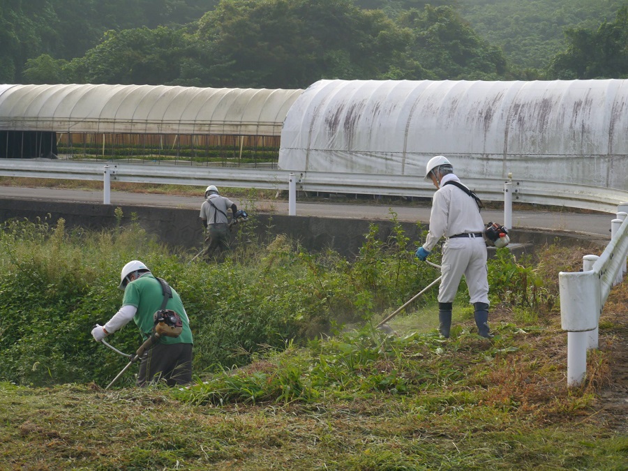 水路等の草刈り